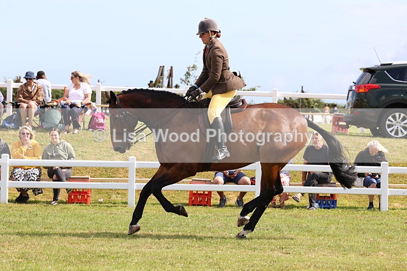 3E7A9355 - Class 4: Rising Star M/H Hunter