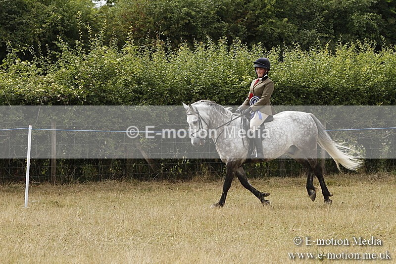 _BS_1039 - Working Hunter Championship BVRC Show 2018