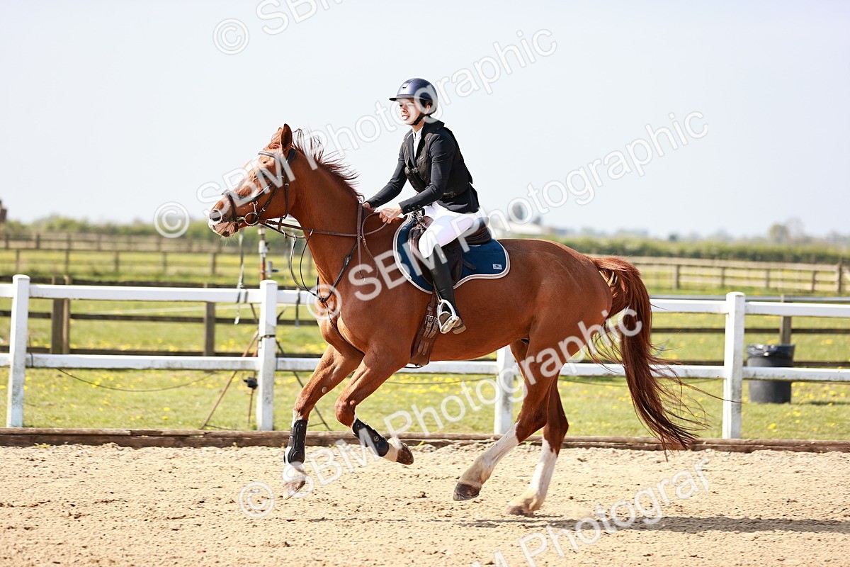  - Class 21 - Senior British Novice - 90cm