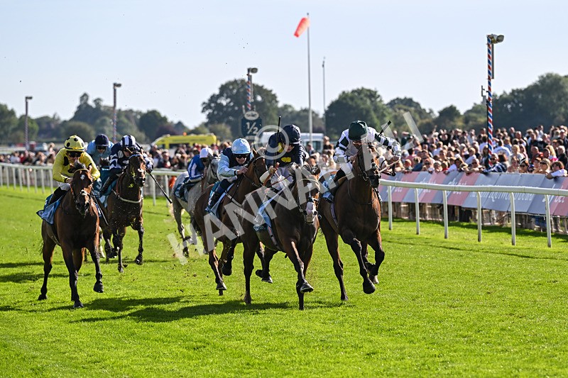 060926-Race 5-Extremely Zain-8383 - Race 5 3.50pm Starman At Tally Ho Stud Garrowby Stakes