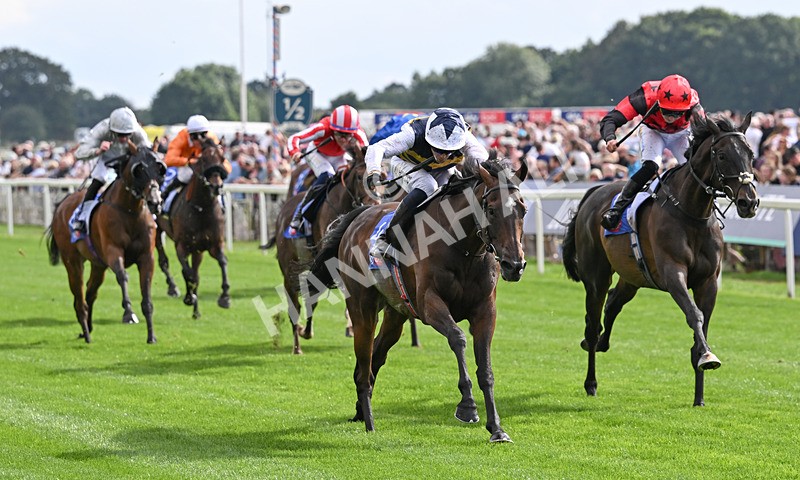 190826-184 Small Fry - Race 5 16.10pm Sky Bet Stayers Handicap