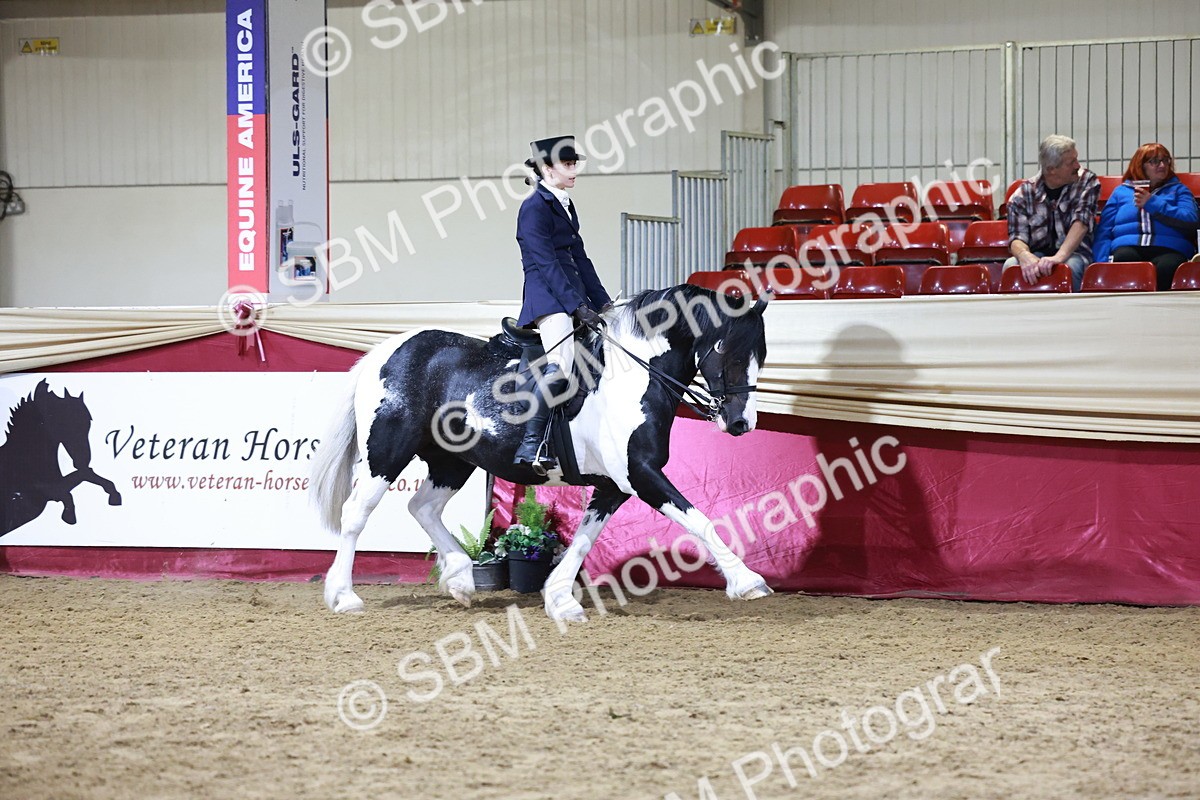 SBM_21128 - class Q - Ridden Horse Champ