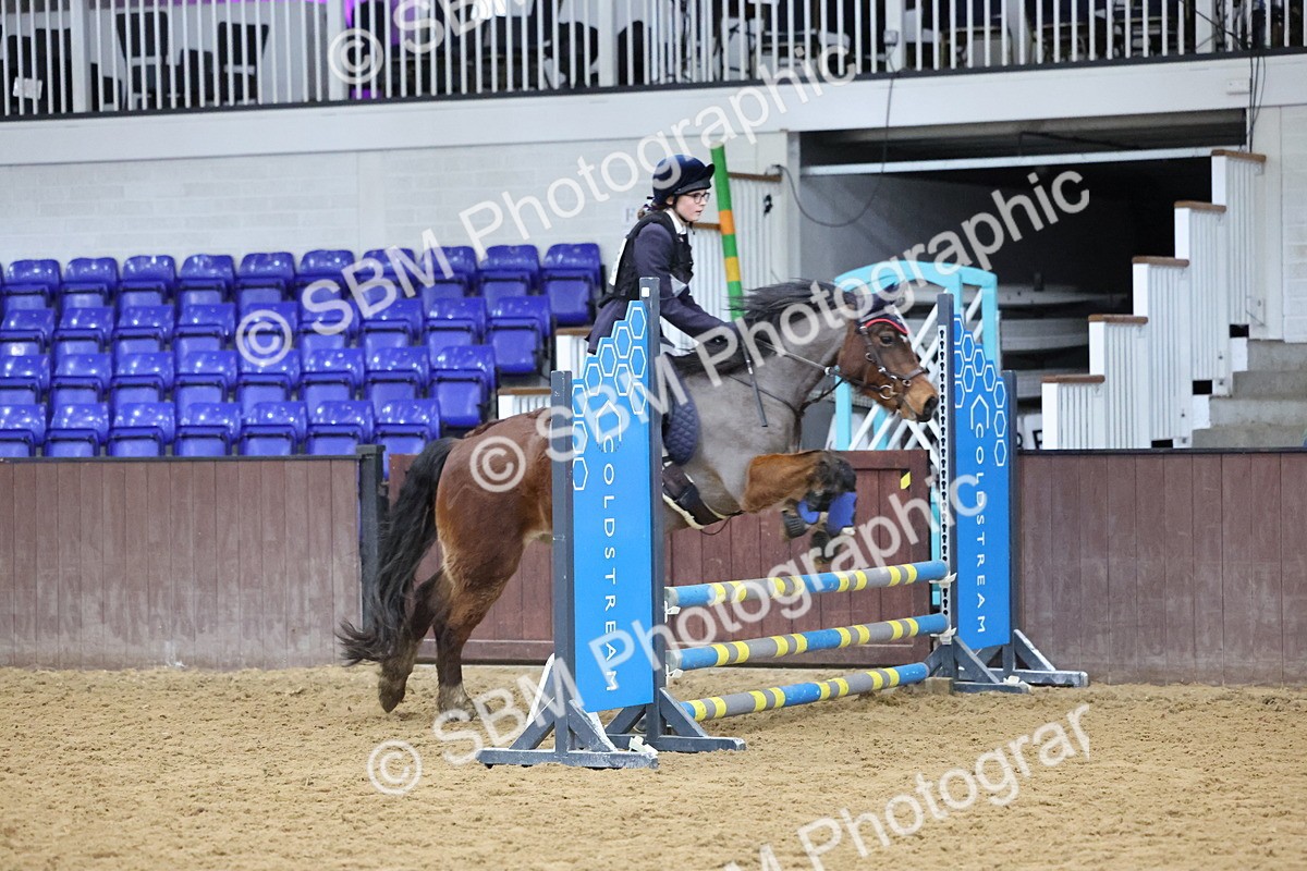 SBM_000985 - Class 3 - Christmas Tree Stakes - 60cm