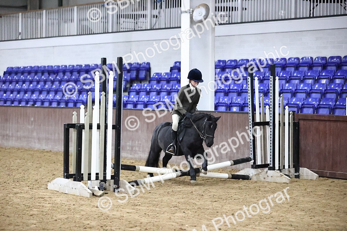 SBM_000027 - Class 1 - Fox Farriers 30cm