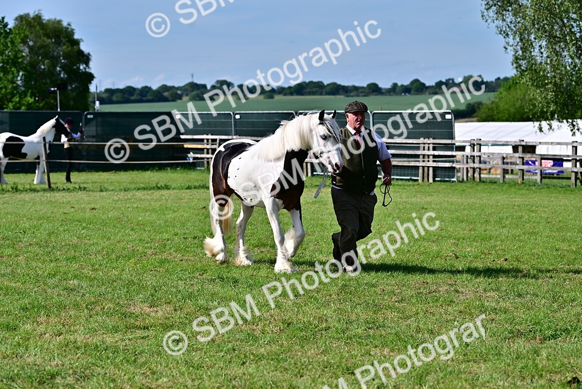SBM_10038 - Class 63-65 - Traditional Gypsy Cobs In Hand & Ridden