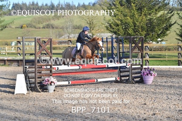 BPP_7101 - CLASS 18 SUN Pony British Novice / 0.80m Open