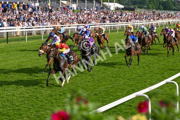 170524-Race 7-Jubilee Walk-8762 - Race 7 5.20pm Irish Thoroughbred Marketing Handicap