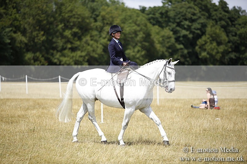_C7A0211 - Side Saddle Classes BVRC Show 2018