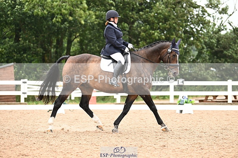 240815A-133036-01550 - 205-Donna.Boyd-Vagebond.vd.Withoeve.Z