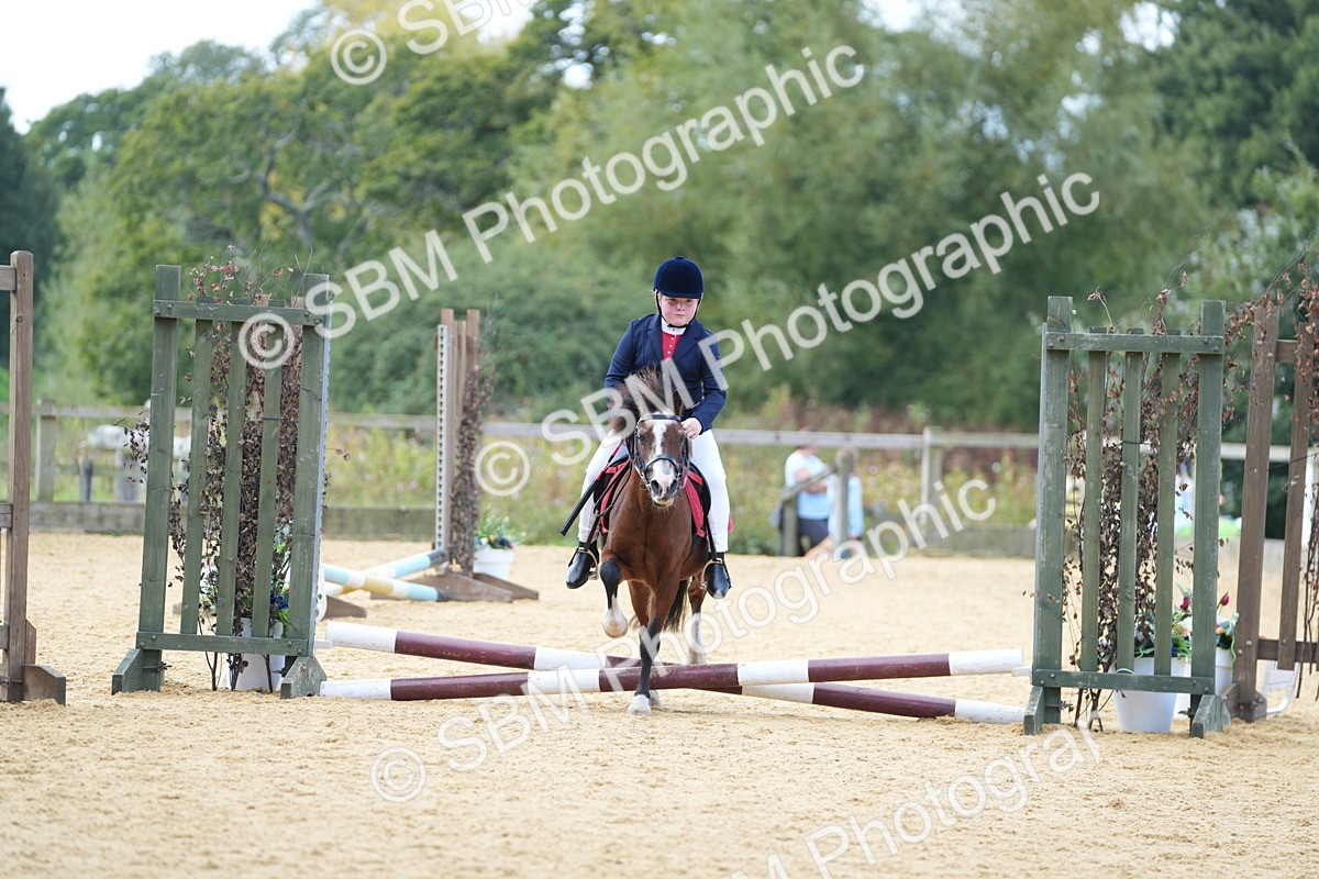 SBM_64393 - J2 - Mini Tour Junior Pony 30cm Championship
