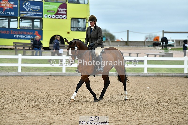 230416A-143329-05266 - Cls 74 Warmblood