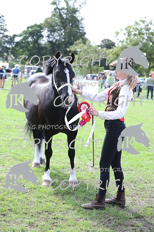 APP_2990 - Class 10a/b M&M in hand