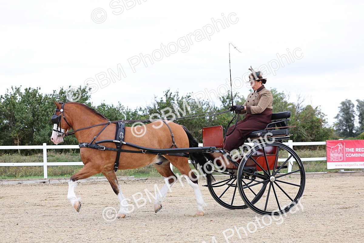 SBM_000287 - Class 2 - Exercise Vehicle 13.2hh & Under