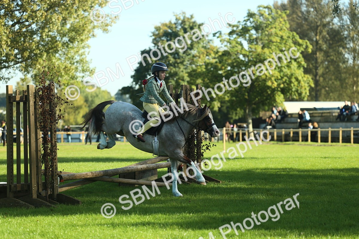 SBM_36353 - S29 - Novice & Newcomers Working Hunter Pony