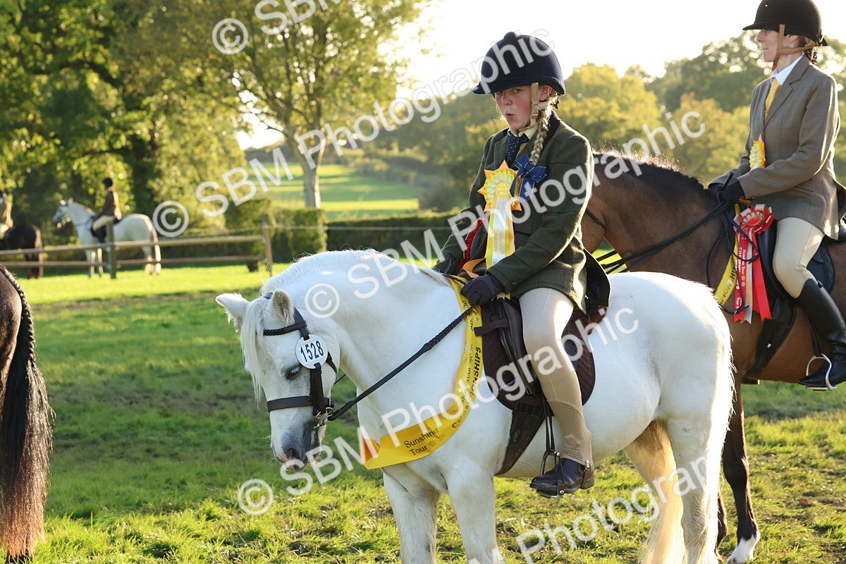 SBM_53189 - Veteran Supreme Championship