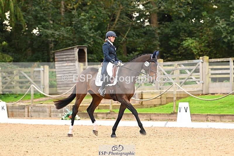 231020-150355-10076 - 312-HALVANNA.THE.LAST.SONG-Holly.Horton-DR