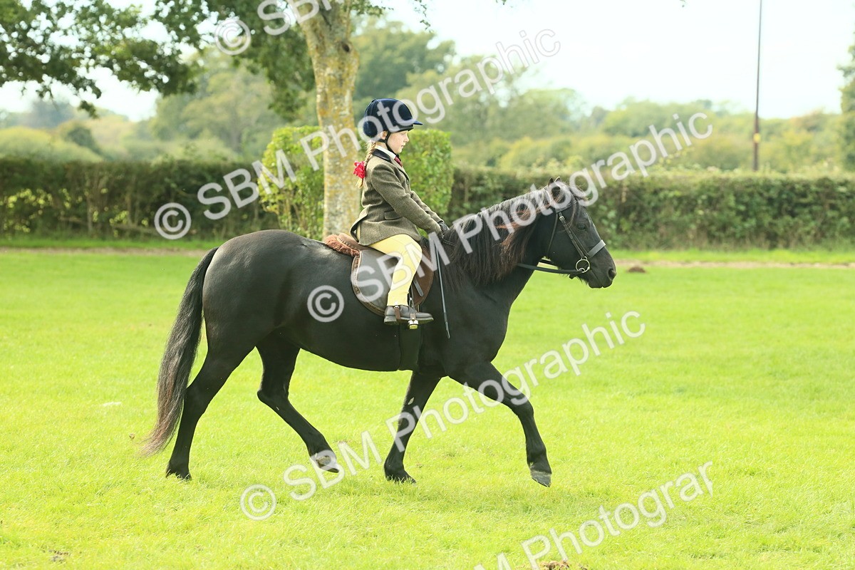 SBM_69795 - S59 - Mountain & Moorland Ridden Small Breeds