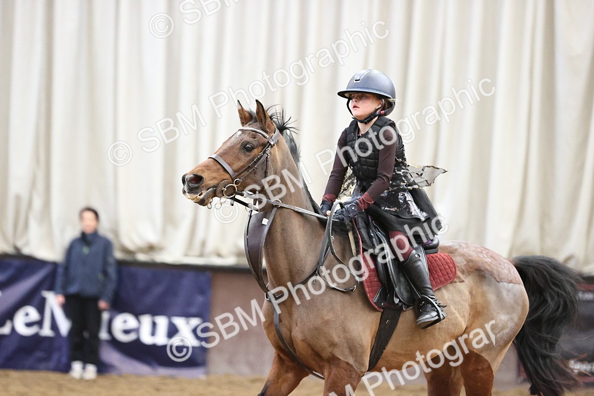 SBM_001533 - Class 3 - Horse & Hound 60cm
