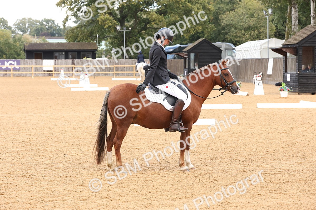 SBM_20274 - D10 - Small Tour Championship Prelim 2