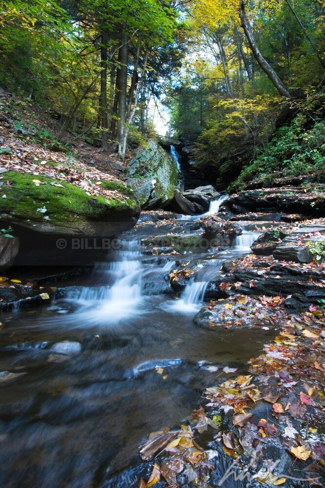 DSC_2618 - Autumn