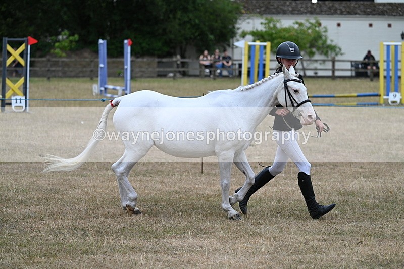 WJ7_8306 - Class 4 Prettiest Mare up to 14.2hh
