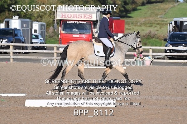 BPP_8112 - SHORT ARENA