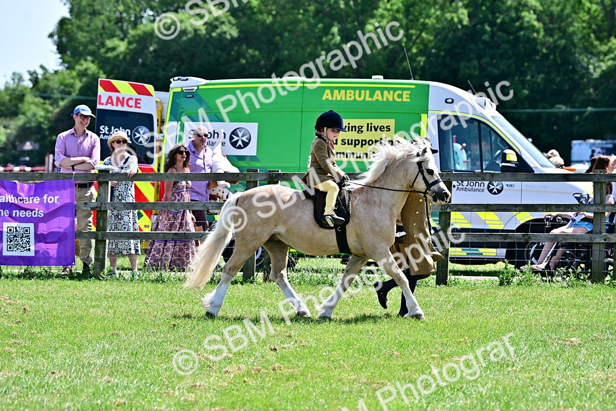 SBM_05787 - Class 59-60 - TSR M&M  Lear Rein and First Ridden Amateur of the year