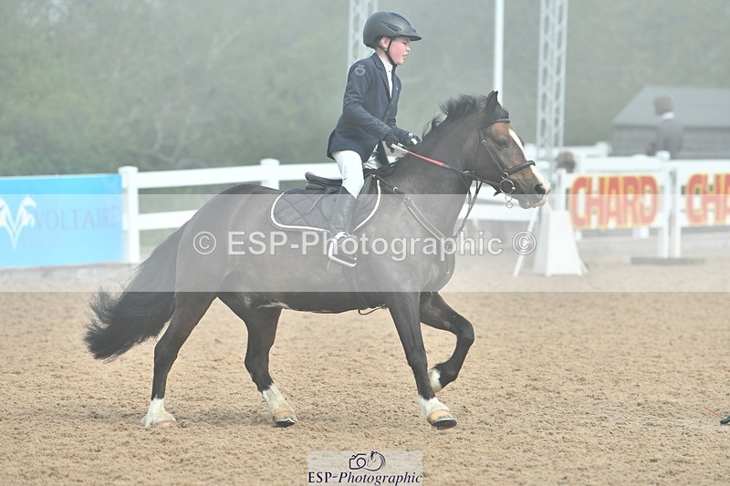 230514A-093708-02095 - Cls 21 British Novice & 80cm Open