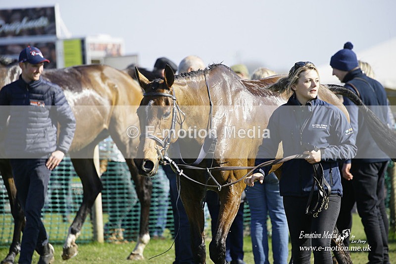 PtP 190322 617 - Wilton Hunt PtP Milborne St Andrew 19/03/22