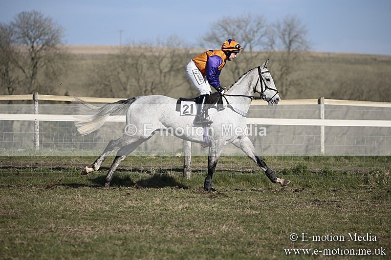 PtP 240218 321 - Vine & Craven Hunt Point-to-Point Barbury racecourse 24/02/18