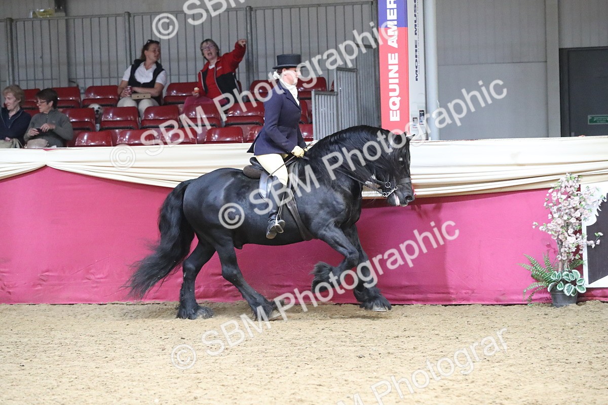 SBM_16343 - Class 502 M&M Ridden Supreme Final