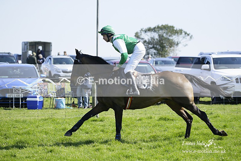 PtP 190322 175 - Wilton Hunt PtP Milborne St Andrew 19/03/22