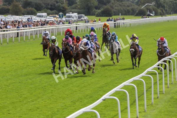 250823-Race 1-Marhaba The Champ-5747 - Race 1 1.50pm Sky Bet Handicap