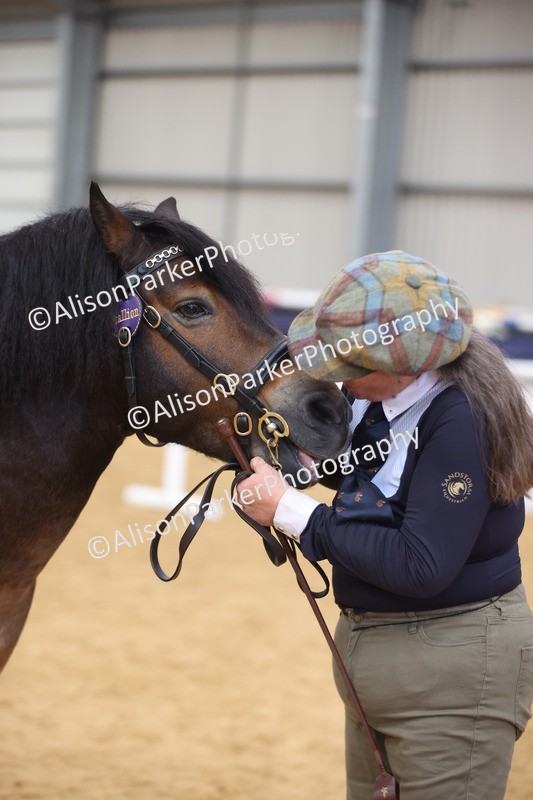 20260913-1762 - Class 117 - Stallion 4years and over
