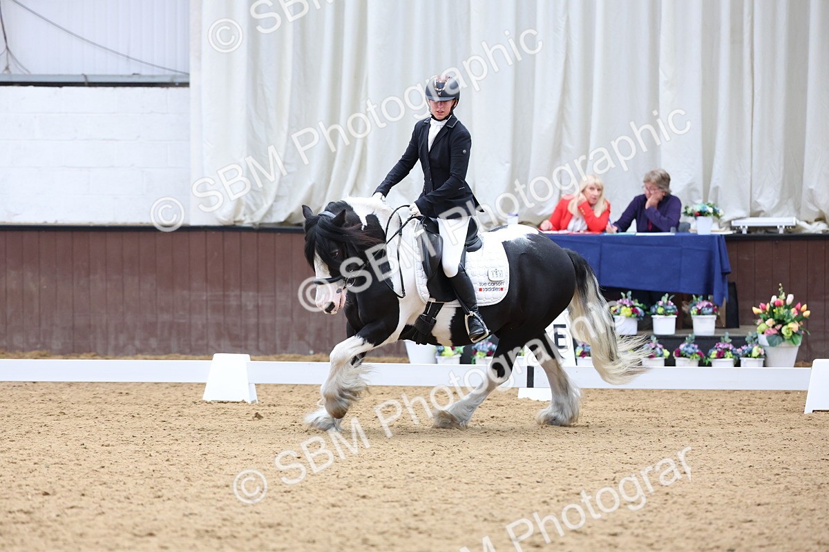 SBM_016006 - Class 15 - Novice FSM - 9.50 - 11.10