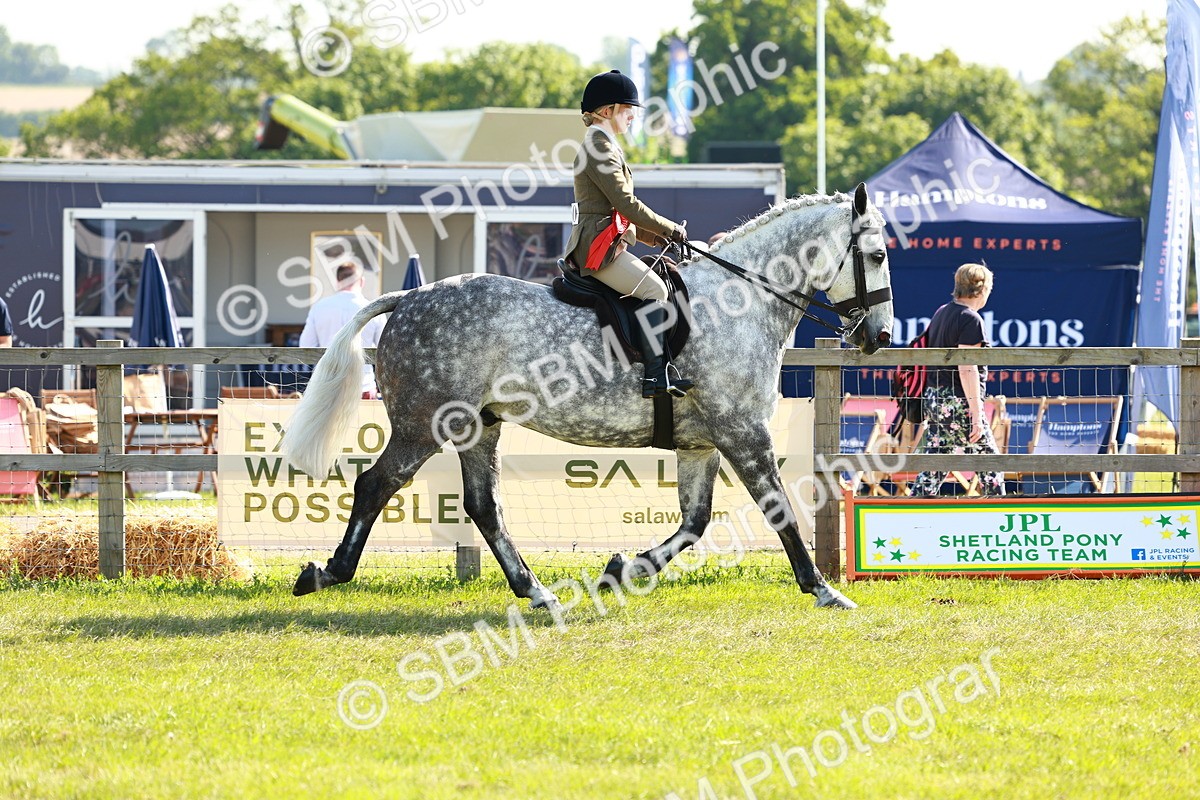 SBM_11883 - Class 66-69 - RIHS Ridden Hunters Inc Small Hunter