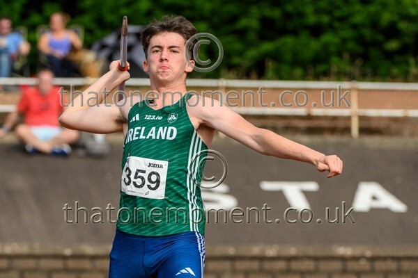 Sen25SUN-926935 - Field Male