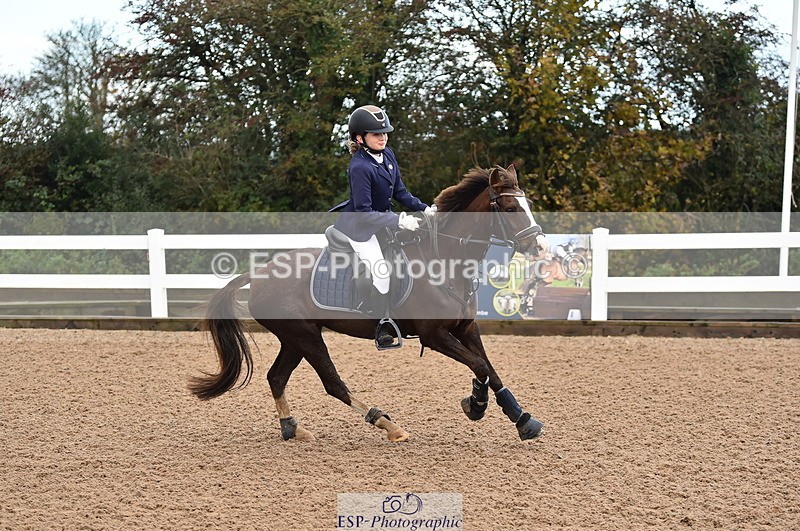 231029A-110358-02536 - Pony British Novice & 80cm Open