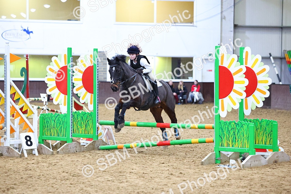 SBM_001414 - Class 3 - Christmas Tree Stakes - 60cm