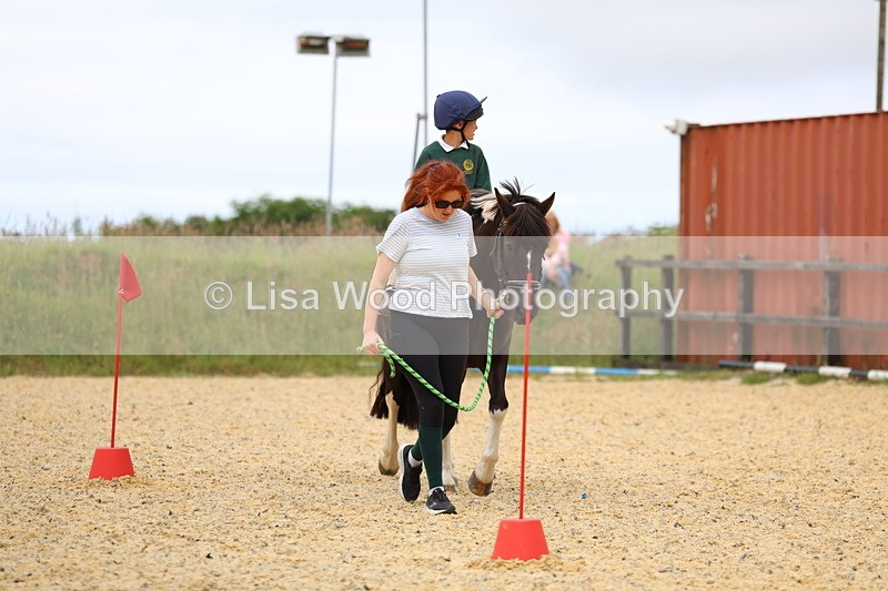 3E7A9499 - Walk trot run