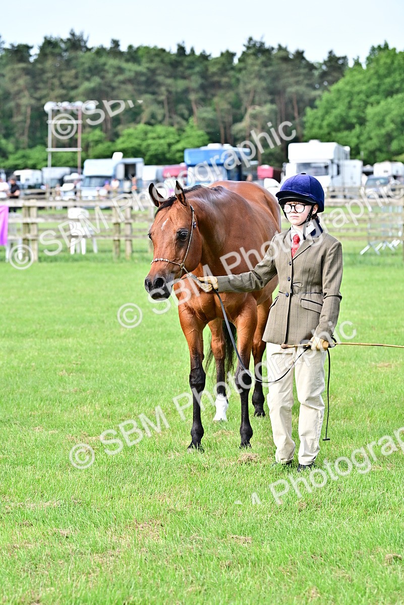 SBM_00038