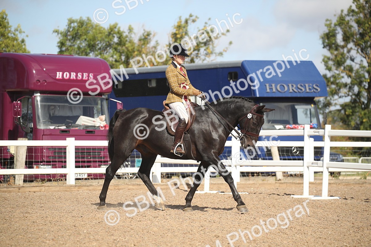 SBM_22888 - Class 602 - 2026 Area - Ridden Veteran