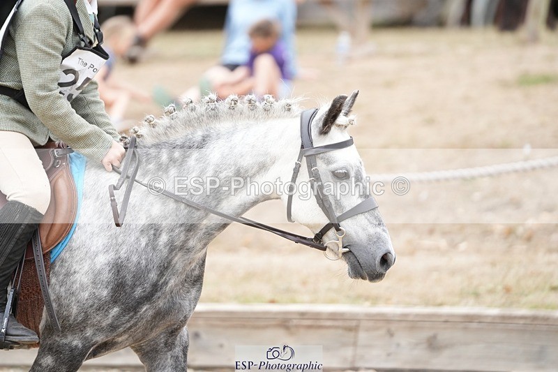 250820A-155356-10768 - Round 2, 14.45 to End