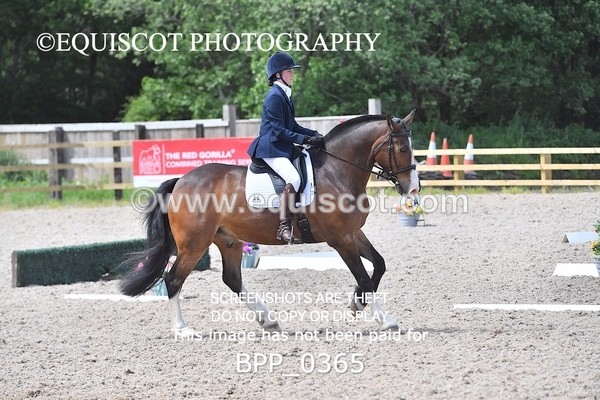 BPP_0365 - NOVICE 6
