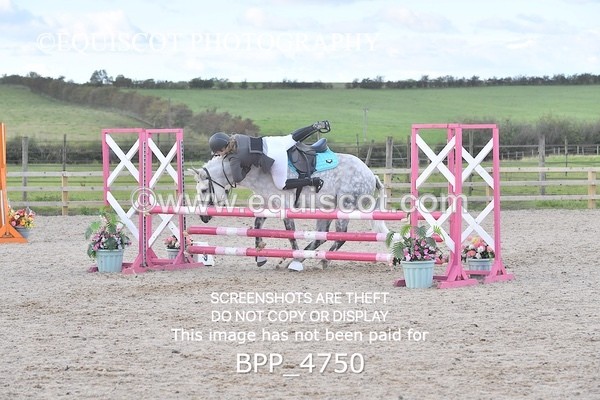 BPP_4750 - STYLISH DISMOUNT