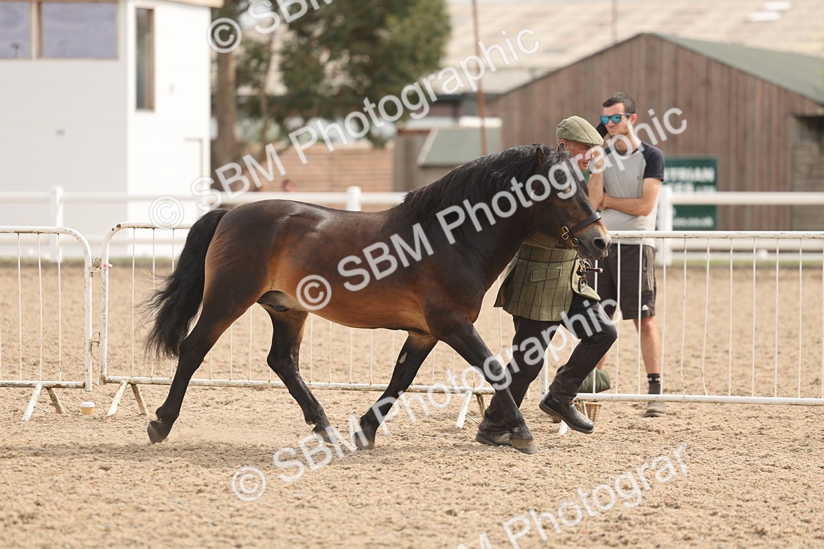 SBM_04946 - Class 20 - IH Veteran