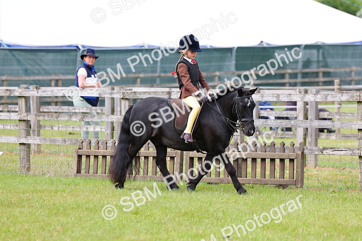SBM_09446 - Class 44-45 - LIHS BSPS Open Nursery and Cradle Stakes
