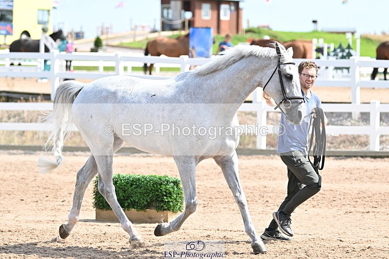 240717A-153901-02945 - Trot Up 3pm to 4pm