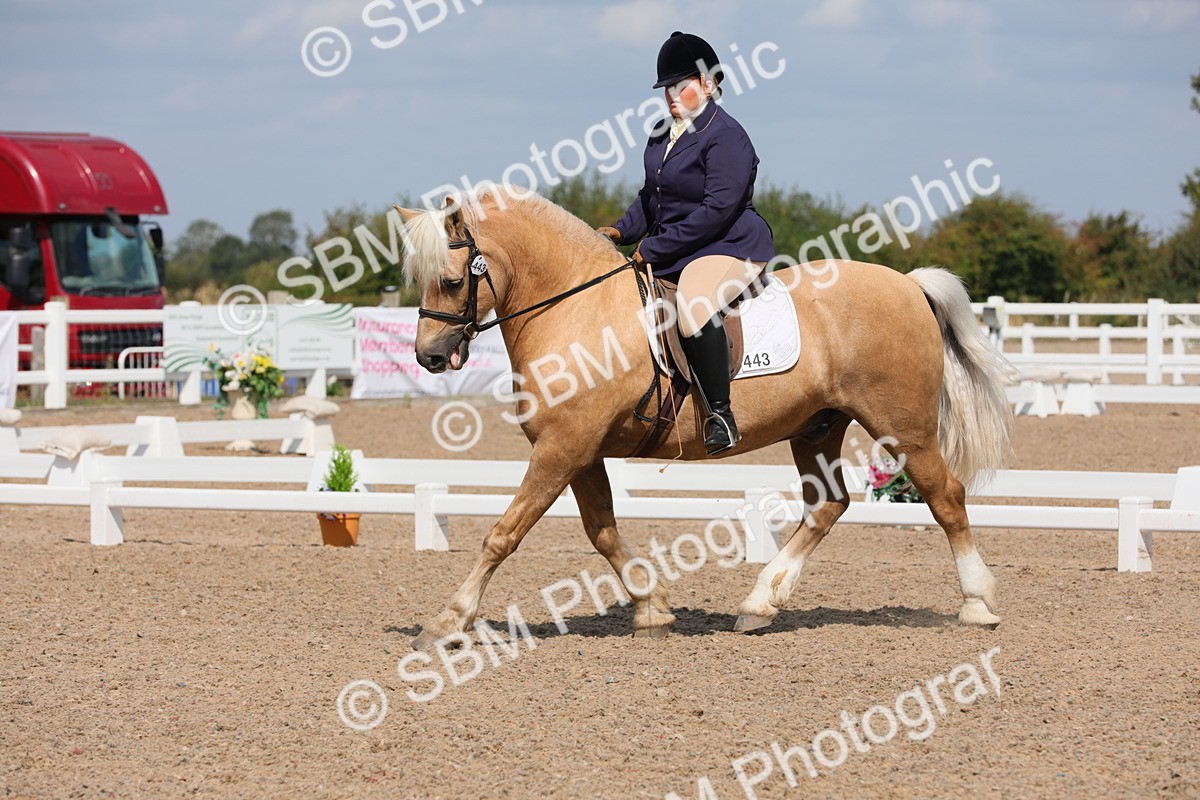 SBM_04019 - Class 31 Prelim 1