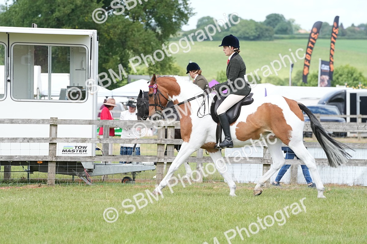 SBM_17596 - Class 107-108 - LIHS BSPS Performance Coloured Horse Pony